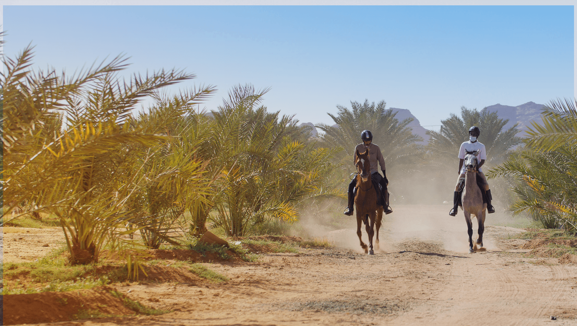 Horse riders in AlUla