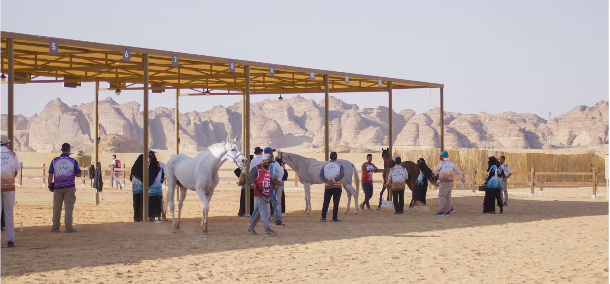 equestrian competition