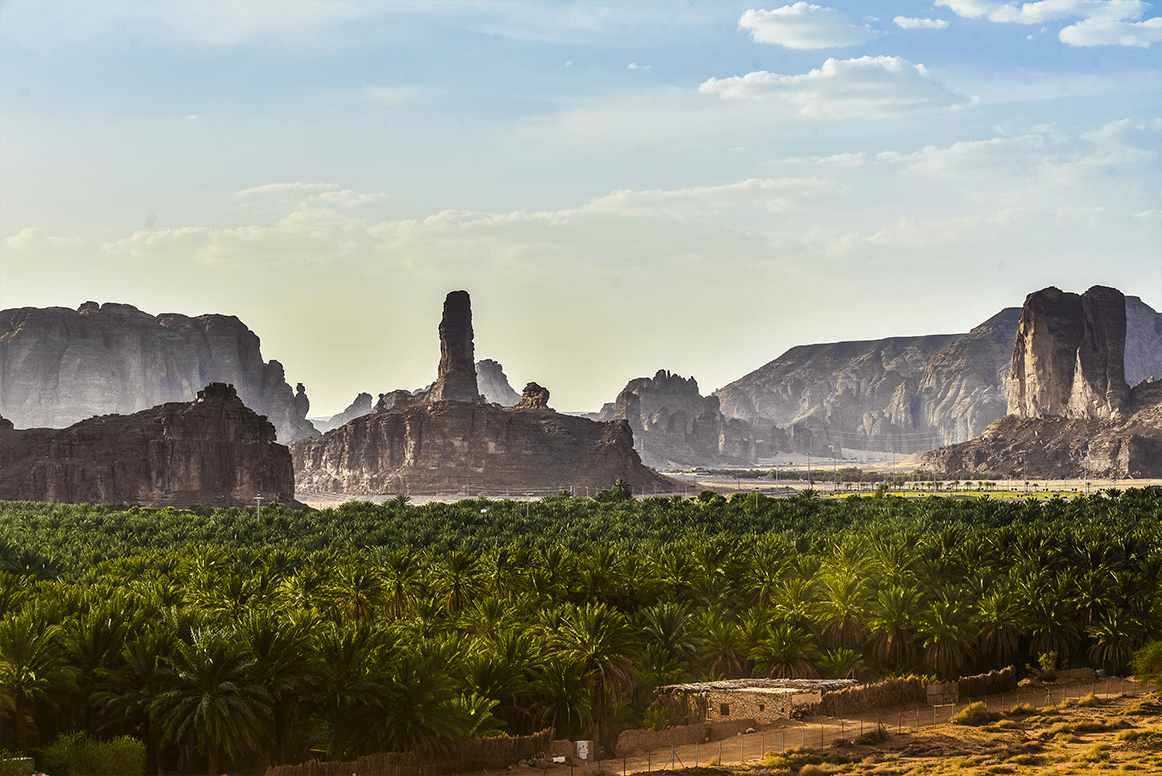 vue de l'oasis d'AlUla
