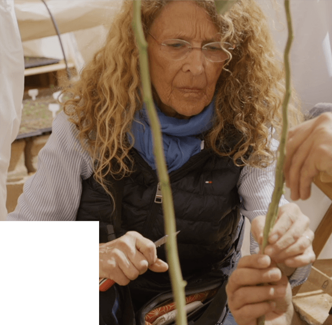 BÉNÉDICTE BACHÈS