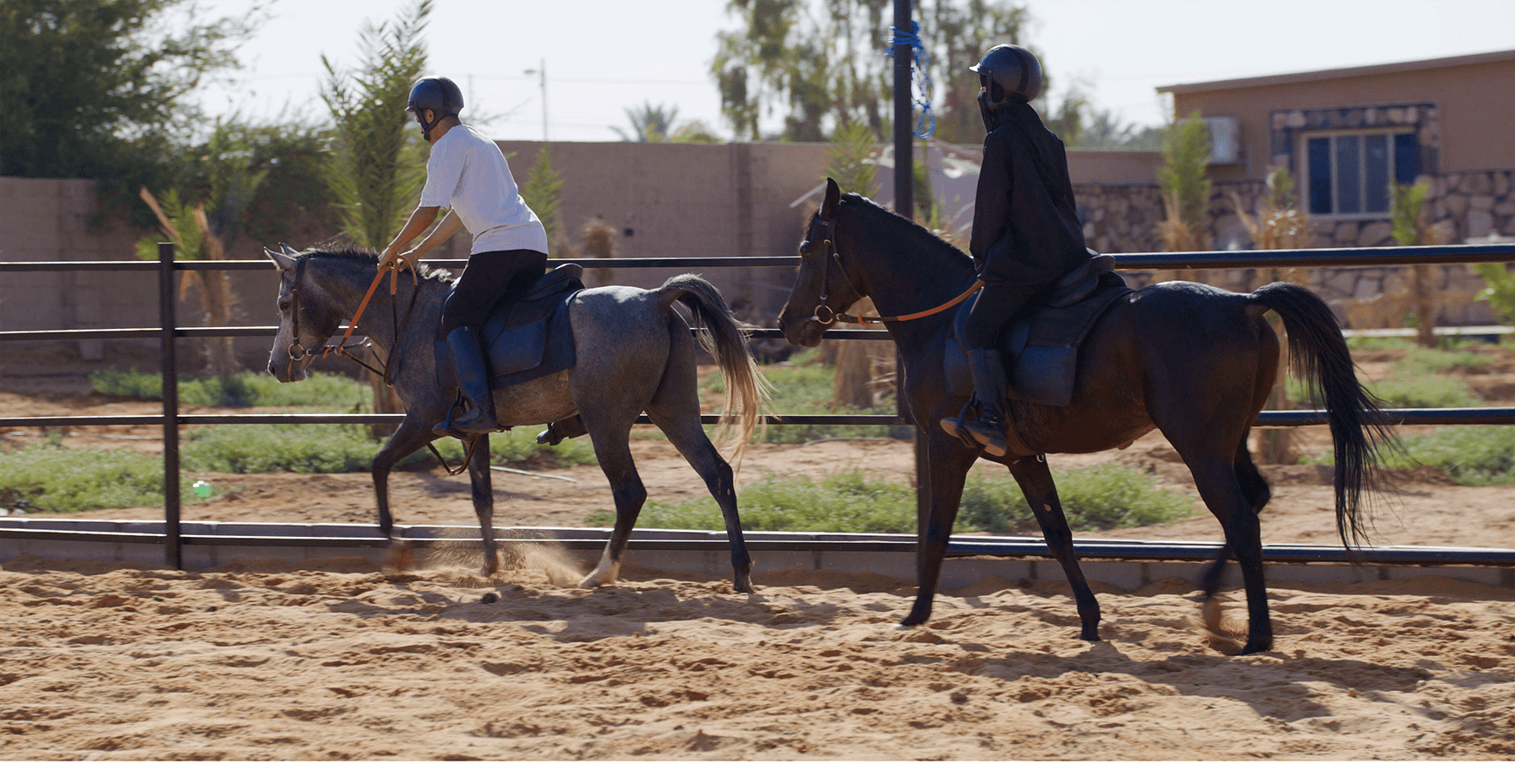 riders on horses