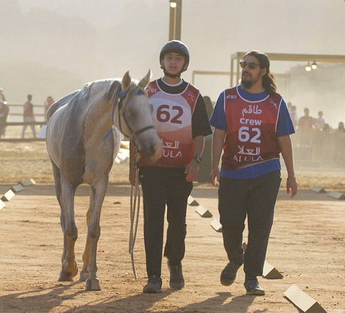 competitors and horse