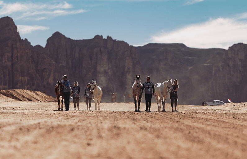 AfalUla AlUla projets équestres 