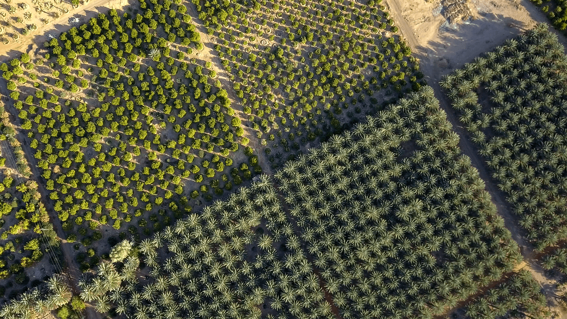 Afalula AlUla territoire eau