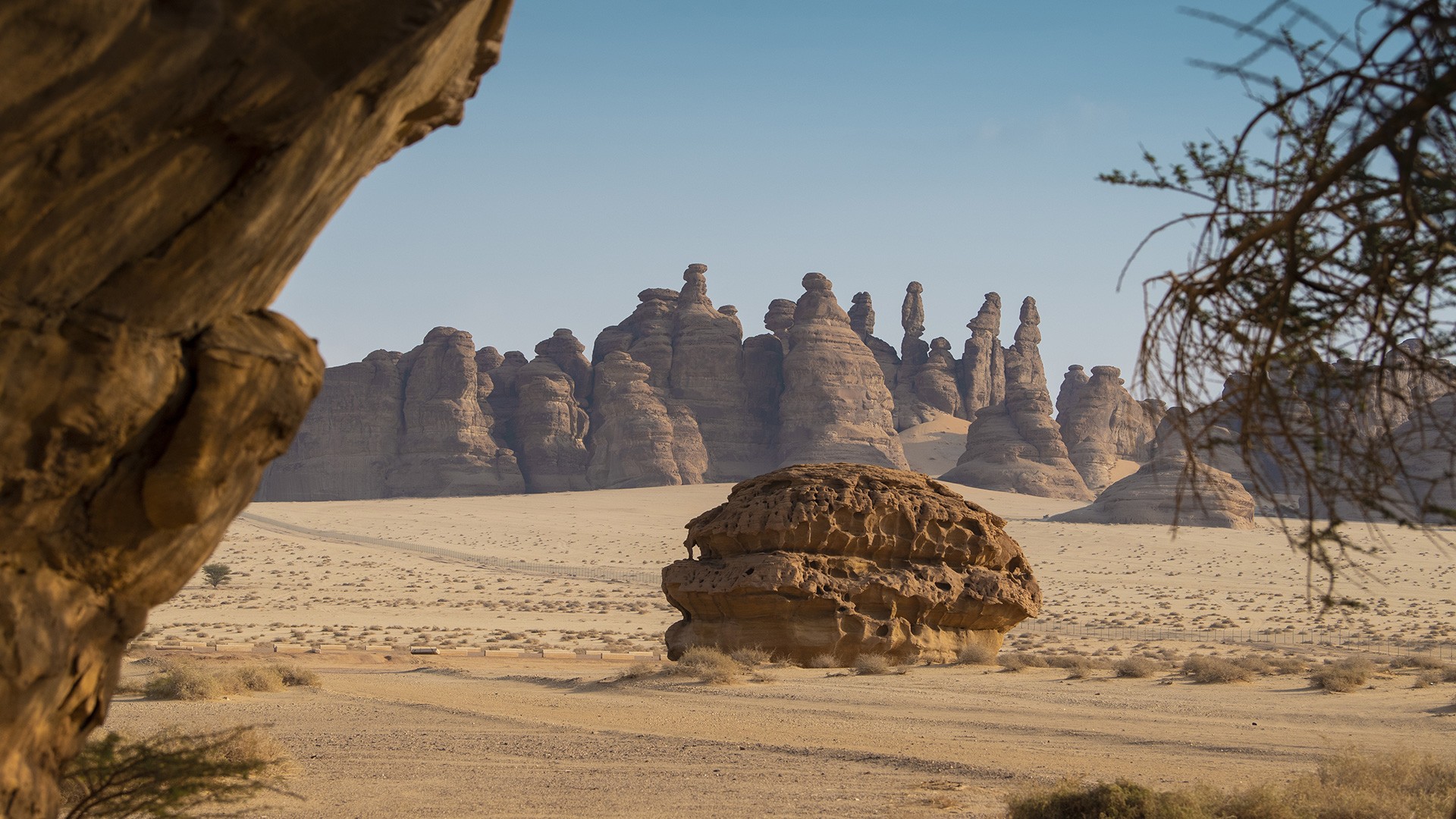 Afalula AlUla brèves et actualités