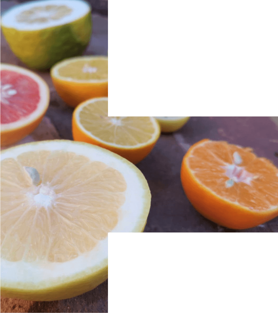 Afalula AlUla agrumes