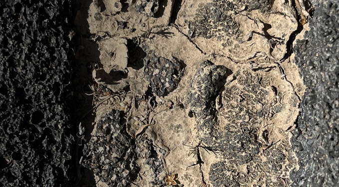 HORIZON ALULA (photo 34)