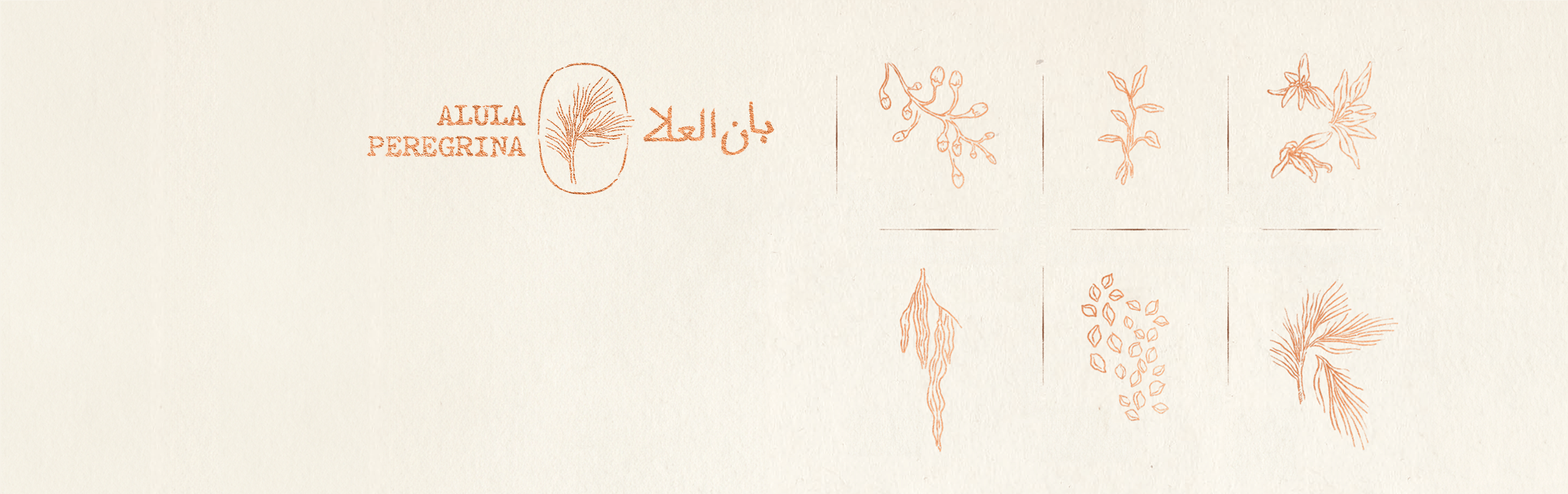 Croquis de plantes