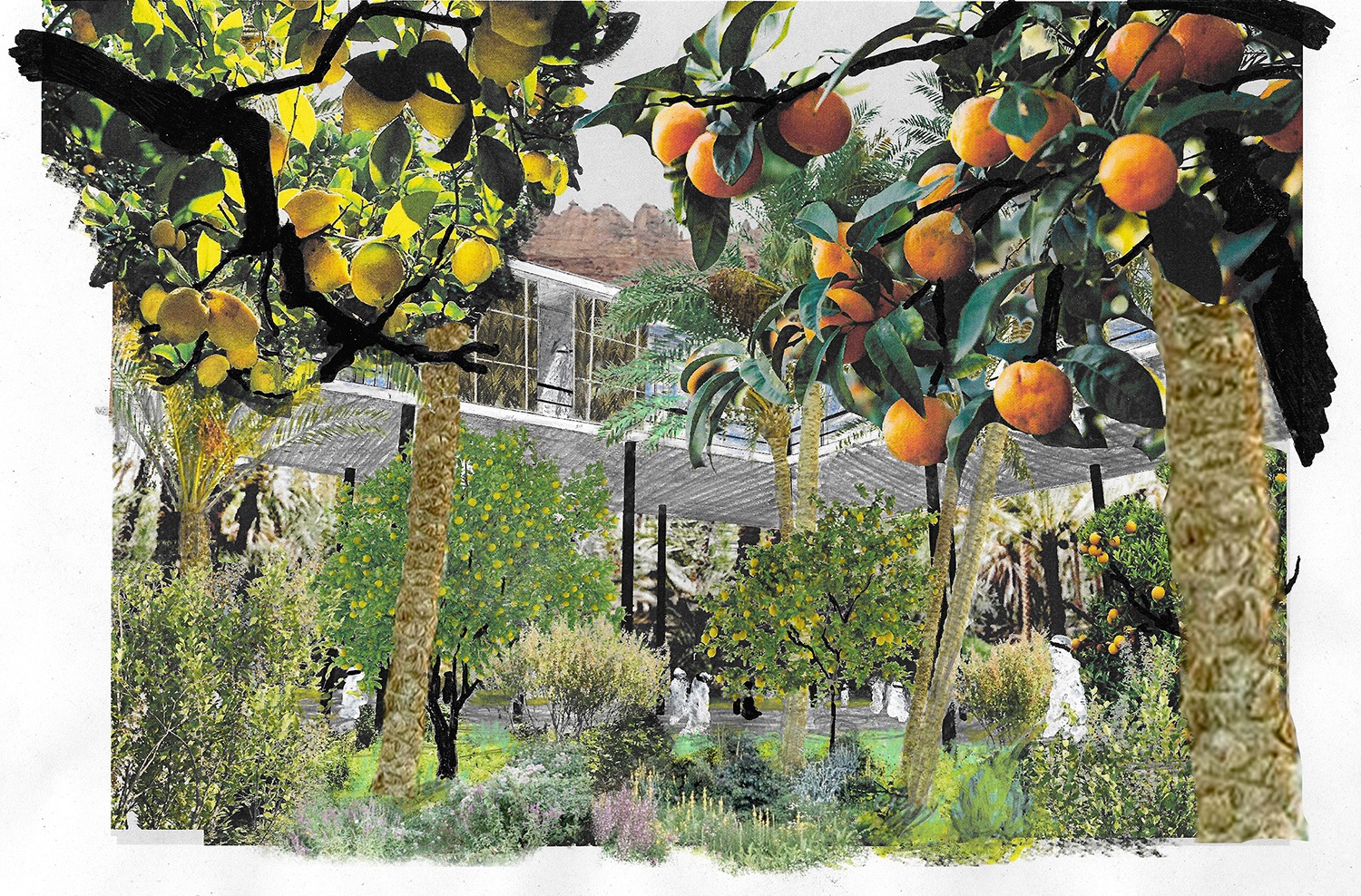 Croquis jardins de la Villa Hégra