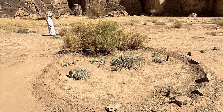 Homme se promenant dans le parc de Sharaan
