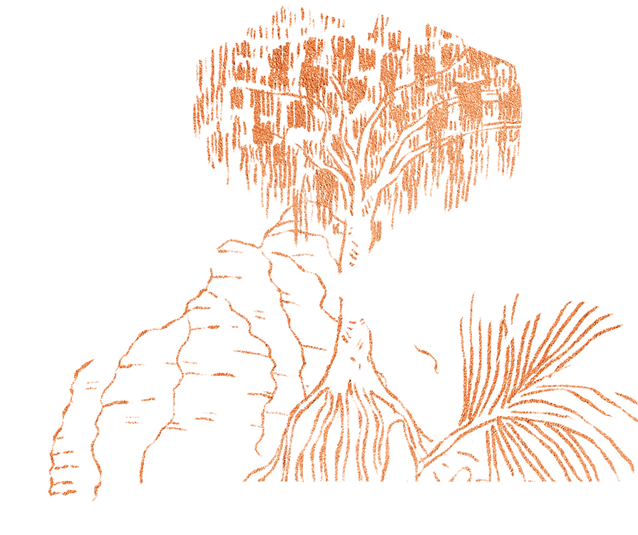 Illustration de plantes