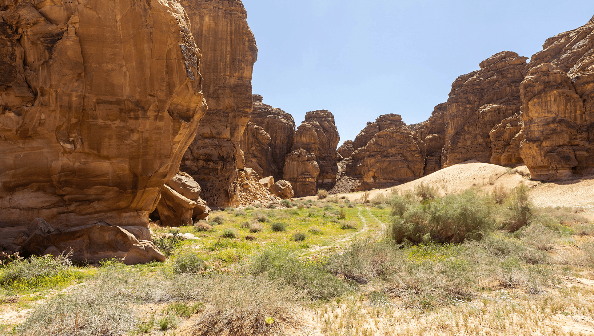 nature à AlUla