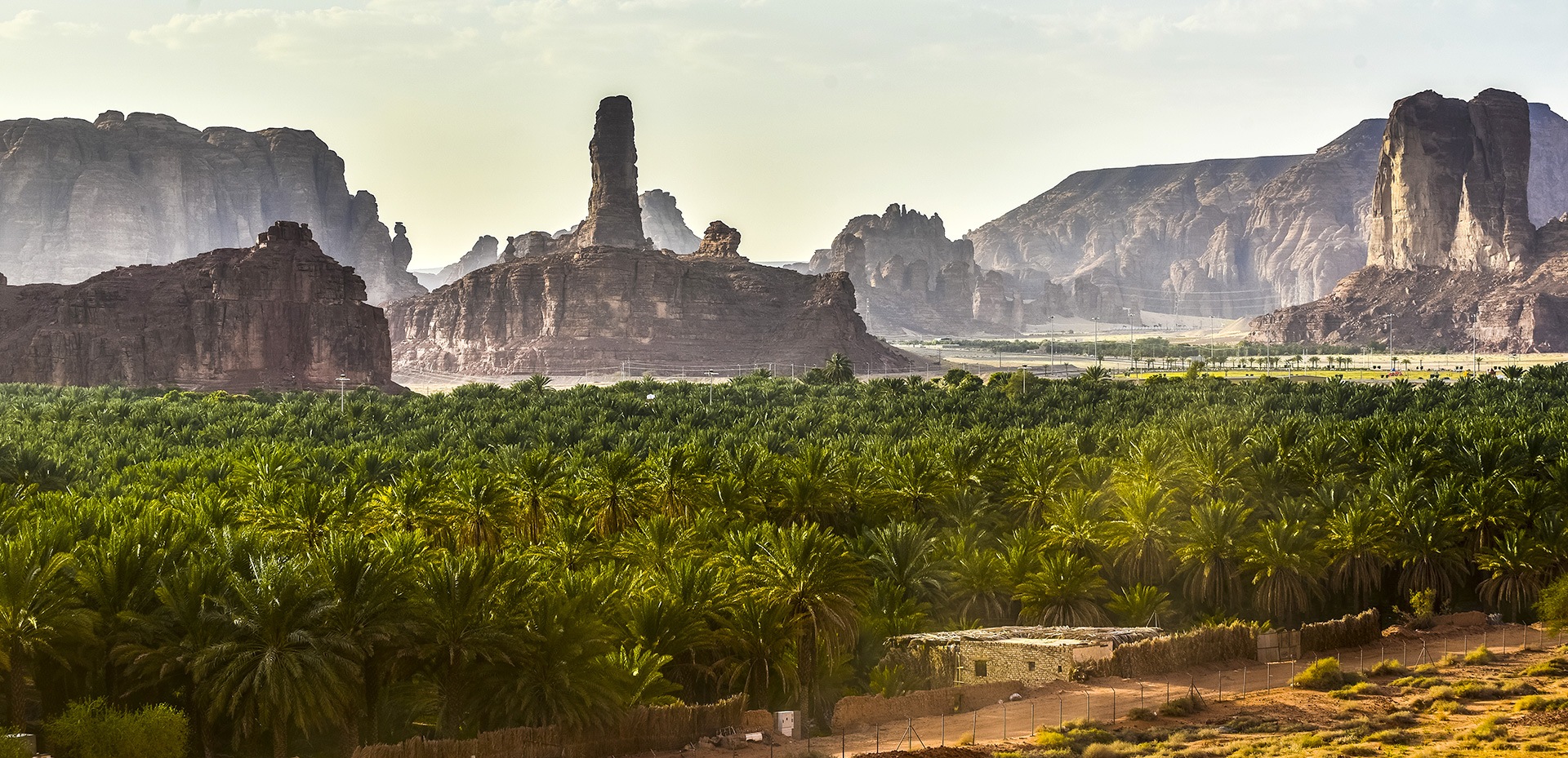 vue de l'oasis