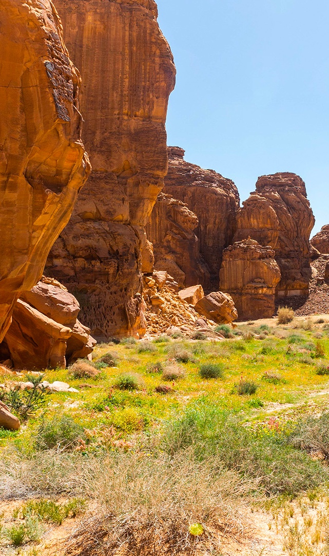 #7 EN | RESTORING THE DESERT OF ALULA (photo 3)
